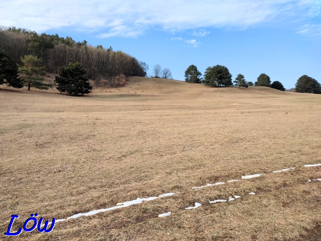 10.2.2023 - Blick Richtung Kuhheide